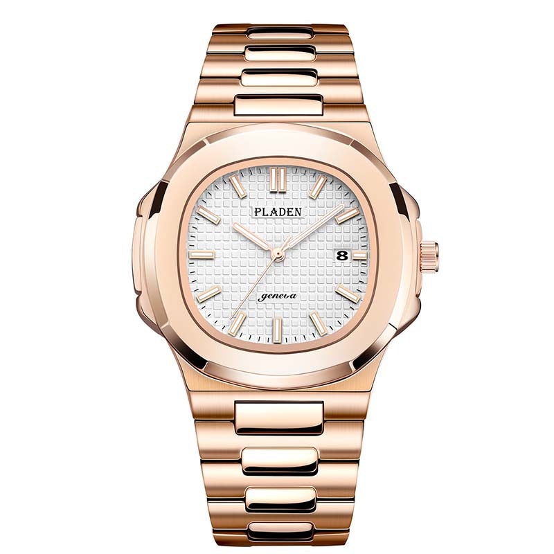 CALVORO Premium Watch