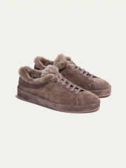 Gray Brown